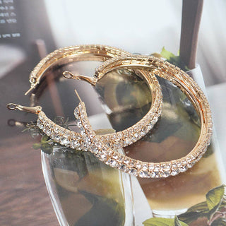 ✨ Diamond Dust Hoop Earrings