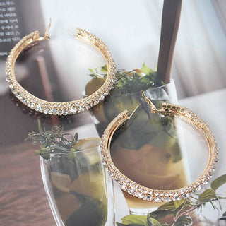 ✨ Diamond Dust Hoop Earrings