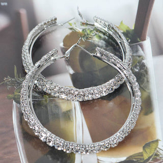 ✨ Diamond Dust Hoop Earrings
