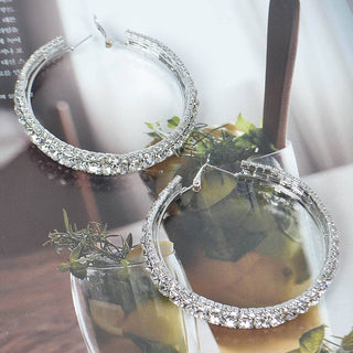 ✨ Diamond Dust Hoop Earrings