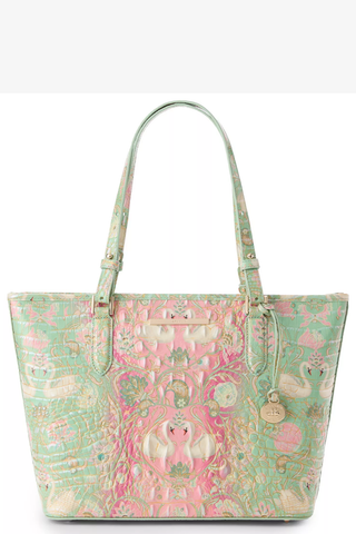 Medium Asher By Brahmin