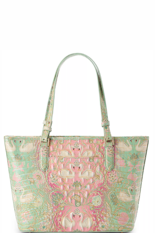 Medium Asher By Brahmin