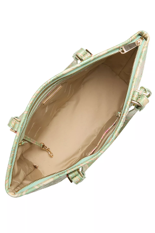 Medium Asher By Brahmin
