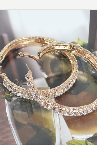 ✨ Diamond Dust Hoop Earrings